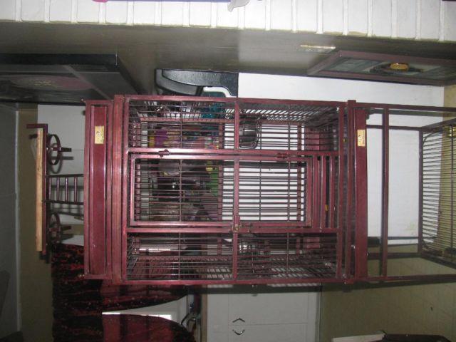 bird cage for goffin sizes to conure