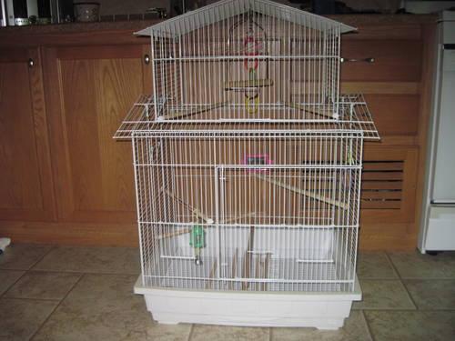 Brand new bird cages!