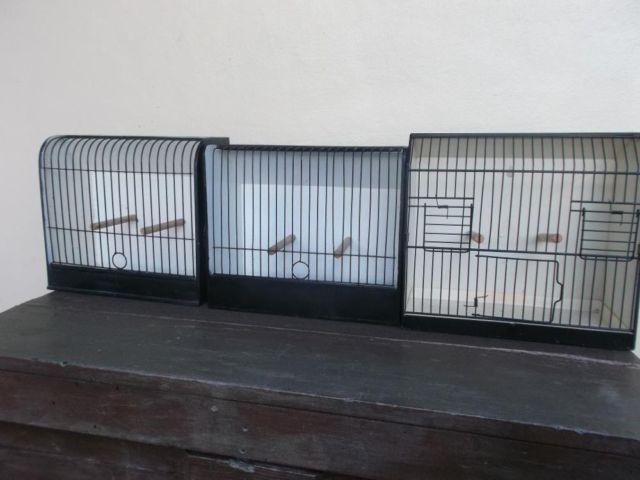 Canary / Finch Show Cages