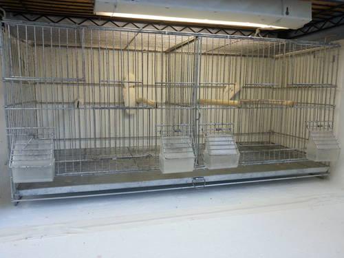 canary/finch breeding cages