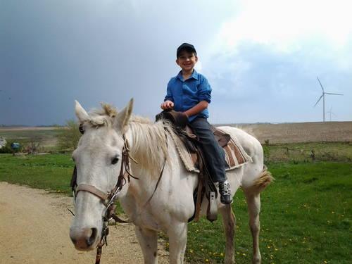 Child's Horse PRICE REDUCED AGAIN!!!