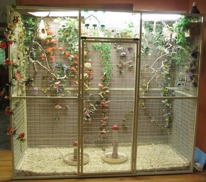 huge flight cage with exotic finches
