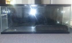 hi i have 55 gallon tank with stand and filter heater everything you need to setup tank tank is only 4 month old reason im seeling cuz i just got bigger tank so i dont need this tank its got heater background filter everything
call or text 201 892 2721