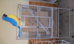5 Beautiful white Doves with large cage, must sell all together, must go. Too big for are small home. please contacate 269-425-5461 or 269-589-1879