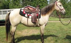 AQHA Sorrel Filly 3 years old, Doc O'lena, Dual Pep, Peppy San Badger, Doc Bar, King Fritz, Colonel Dixie bloodlines. Great disposition. Kind, Willing, Quick learner, Cutting, Roping, Team Penning prospect. Currently in training, started on cows.
For