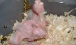 baby parakeets, 5 ready now more coming up.