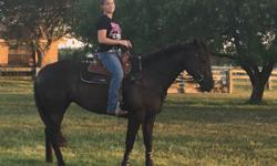 Will be 5 in May. Aqha black mare. Stands 15.3hh up to date on shots and coggins. Stands for farrier. As been ran in small races and in the derby this past dec in okc. Illegible to run futurist in Waco this November. She loves to run and will be great all