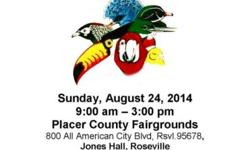 Exotic Bird Mart, Sunday, August 24, 2014, 9a-3p, at the Placer County Fairgrounds, 800 All American City Blvd, Roseville, 95678. Dr. Jeanne Smith, DVM will be there to answer questions on birds (NO EXAMS). Many vendors will be there selling birds