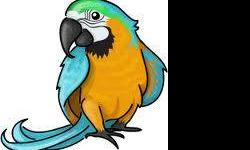 Sunday October 14th ? Largo FL -
Pedro Avila presents the Sun Coast Exotic Bird Fair ?
Minnreg Hall 6340 126th Ave N. -
Sunday 9am ? 4pm Admission: $4 Children 12 and under FREE.
Birds, seeds, toys, cages, Walk-in Bird Aviaries, live entertainment, great