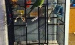 i am selling my 15 year old blue crown conure Polly. she comes with her cage as pictured, 15 accessories(mostly all toys), 7 branches, 2 rope perches, 1 edible perch, many small chew toys, 5 food dishes, i specially bought food box that makes feeling mess