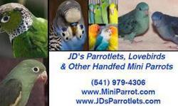 lots of different types of birds for sale located in Salem Oregon
contact by email is best.
Cockatiels
Canaries
Parakeets
Rosie
Budgies
Lovebirds
different types of finch
Indian Ringnecks
Green Cheeck Conures
