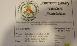 A.C.F.A Canary Auction
Would like to invite you to attend our Canary Auction. Birds are
donated by some of the top breeders in Southern Ca.
Saturday, Sept,13, 2014
18289 Laurel View Drive, Yorba Linda, Ca. 92886