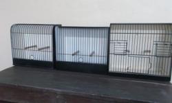 We have 3 Canary/Finch Show cages for sale. These have been used in competition. 2 are wood and the third is plastic. The plastic cage is $10. If you need shipping then I would need you to get me the zip code so I can price it out. If we have to ship the