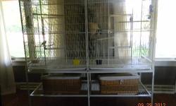 I have for sale a pair of breeding Canaries (male is great singer) and a pair of breeding Java's. They come with a 5' x 5' avairy, two smaller flight cages (for transport and those nice summer day outside vacations).
If you bought all this at pet store