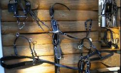 Deluxe Biothane Studded Harness fits, Mini horse B Size, Shetland, Pony... Like new super nice, all the parts are here and clean ready to go Very lightly used. Parade, Draft show pony class, ... $400.00 Price includes shipping.