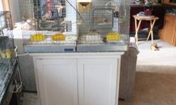 Travel schedule requires that I rehome 4 society finches/and a family of 4 zebra finches. Entire set up. The Quality cages are divided into two separate cages. Cage alone is $102. and this set up includes seed cups, bathing tubs, perches, swings - entire