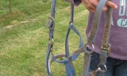 Draft horse halters: 2 matching blue halters, sturdy padded nylon strap, used for Belgian draft horses. $10. each. 541-291-5110, 450-1407