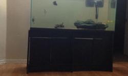 I have fish tank 55 gallon with 3 oscar fish with one parrot face fish with 8 inch angel fish. With tow filter. They come with tank stand see. Pictuers
This ad was posted with the eBay Classifieds mobile app.