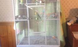 Three of the parakeets are one year old and one is five years old. They love being together and spending time outside their cage. The cage is in great condition and less than a year old. It measures 61 inches from floor to top. The actual cage is 37