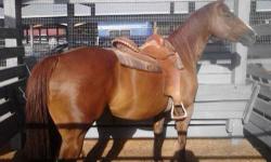 I am selling my gorgeous registered quarter horse mare named liberty. she is 10 yo some great blood lines she is very well trained but needs someone with a kind hand as she's nervous. not about anything specific just in general. i have been working a