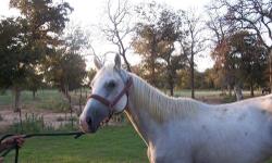 Grade - Sage - Large - Young - Female - Horse
CHARACTERISTICS:
Breed: Grade
Size: Large
Petfinder ID: 25224939
CONTACT:
Habitat for Horses | Hitchcock, TX | 866-434-3737
For additional information, reply to this ad or see: