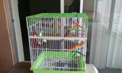 Comes with food, and a setup cage.He is named Oliver. He was purchased at Petsmart.(Parakeets, parakeet,bird,bird cage, small animal, small pet, pet, budgie, budgerigar, budgerigars, small bird, animal, bird food)