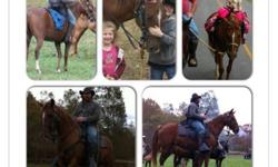Middle aged non-smoking married couple looking to rent/lease horse farm - house & barn - in the Bluegrass Region this spring. Looking for a long term lease. We have a small farm with 5 horses in western NY and looking to relocate to the area when the