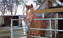Stall without run $70 & $80 per month...stall with run $110 per month. Horse walker, round pen, washer, trailer parking and turnout pasture. Call ROWLETT STABLES at (972)475-3535 and ask for Mike. Or call Mike at (972)286-8460 or Sandy at cell