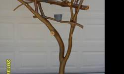 Big Manzanita Perch Tree is great for your parrot... and HUGE... approx 6 ft tall and a wide Huge base 42 " across x 26 " deep... includes Two perch cups and many eye hooks for hanging toys... Casters are HD and verry nice, moves real easy... perfect for