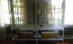 I am moving and don't think the birds would make the trip happily (but if I do have to move them that is okay). So I am selling two Java Finches (mating pair) and two Canaries (mating pair), comes with standing cage that measures 5ft x 3ft (5x5 with