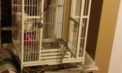 Hi
I have a young Jenday Conure for sale, the bird is about 6 month, come with the cage food and toys.