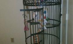 Large bird cage
Beautiful.
Good for any size bird
Good size for several small birds
Please call text or email
9188412451