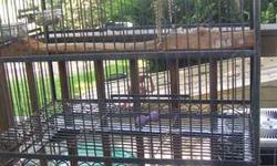Have a sturdy parrot cage for sale...the bottom tray rusted out so it is missing, but overall a nice cage...been using it outside...text me at 502-381-9275 if interested! On casters...YOU MUST PICK UP...LOCATED ABOUT 30 MINUTES OUT OF LOUISVILLE, KY...