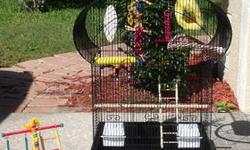 Beautiful; Like New Bird Cage(3 Doors & 1 Big Door) with PlayGround Set
$ 75.00 O.B.O
Perfect For Cockatiels, Love Birds, and Parakeets
Included's:
Bridge Toy
Wicker Toy
Ladder
Comfy Perch
Milet Spray Holder
Cuttle Bone
Calcium Perch
Comfy Hut
Standard