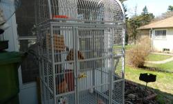 Hi, I have a nice cage for birds. The cage is $90.It is great condition. If you are interested, call me at 651-633-5787. Thank you.