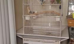 Breeding pair lovebirds with cage