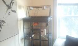 Lovely pair of bonded, mating Conures. One emerald green Peach Faced Conure female and one orange/gold male Sun Conure. Comes with large parrot cage with playscape on top and hand made play gym. Also accessories such as dishes, perches, food and toys.