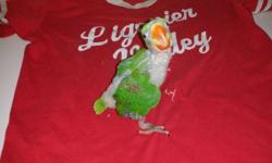 I have many different color of baby parakeets for sale.