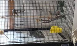 Travel schedule requires that I rehome 6 zebra finches/along with Quality Cage entire set up -perches, seed cups. I paid $100 for the cage alone. It is in excellent condition. Only 1 yr old. Here's the info on the cage:
A medium sized flight cage that