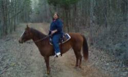 10 yr. old Western riding Quarter Horse for 1/2 lease (2-3 days a week) on my Farm or willing to take to Greenway River trail riding for extra $. Needs someone dependable and knows how to treat a horse.I also have a Paint and App that is younger (4yrs