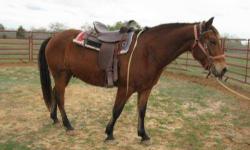 Quarterhorse - Cinch - Large - Adult - Male - Horse
CHARACTERISTICS:
Breed: Quarterhorse
Size: Large
Petfinder ID: 25224894
ADDITIONAL INFO:
Pet has been spayed/neutered
CONTACT:
Habitat for Horses | Hitchcock, TX | 866-434-3737
For additional