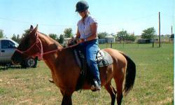 Quarterhorse - Jessie - Medium - Adult - Female - Horse
CHARACTERISTICS:
Breed: Quarterhorse
Size: Medium
Petfinder ID: 24410769
CONTACT:
Habitat for Horses | Hitchcock, TX | 866-434-3737
For additional information, reply to this ad or see: