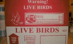 I have USPS live bird shipping boxes.
They are 20" x 8" x 16" with plenty of ventilation
Great for mailing pigeons, chickens, doves or other live birds
These are the only boxes approved for shipping through the mail
You ship Express mail, 24-48 hours