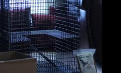 I have a beautiful sugar glider cage that is 18x18x24 and has a complete package including a sugar glider carrying bag, bottle water, powder food, pellet food, stone heater and a DVD. I'm looking to trade for a Big parrot cage.