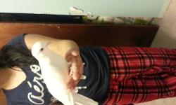 I have 2 white dove male and female
I am asking $30 for 1 and $55 for a pair
Call or text 631-748-5614