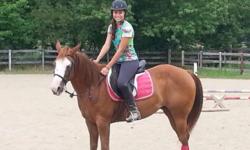 This is Imma Southern Belle (Belle). She is a 9yr old quarter horse mare standing at 15.3hh. She is unregistered and her birthday is July 7, 2005. I have had her for a year and she is a wonderful horse however after working with her, I have come to