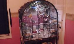 i am willing to take in unwanted small of any kind. i have 2 big aivaries on wheels plus other cages(none real small). MUST BE WILLING TO MEET NEAR BY MY HOME OR AT MY HOME. call or text 724-877-1137 my zip code is 16161